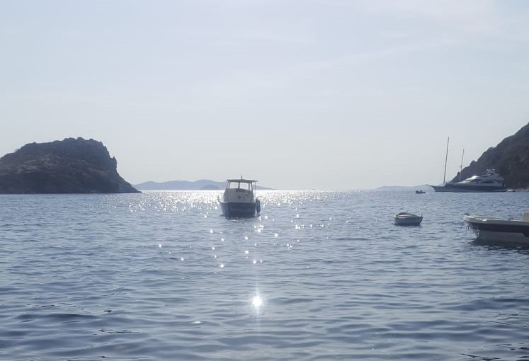 Gaydaros Aleksan’ın Şirin’i   